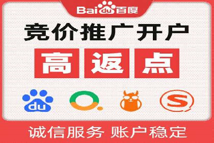 百度推广的投放策略与效果分析